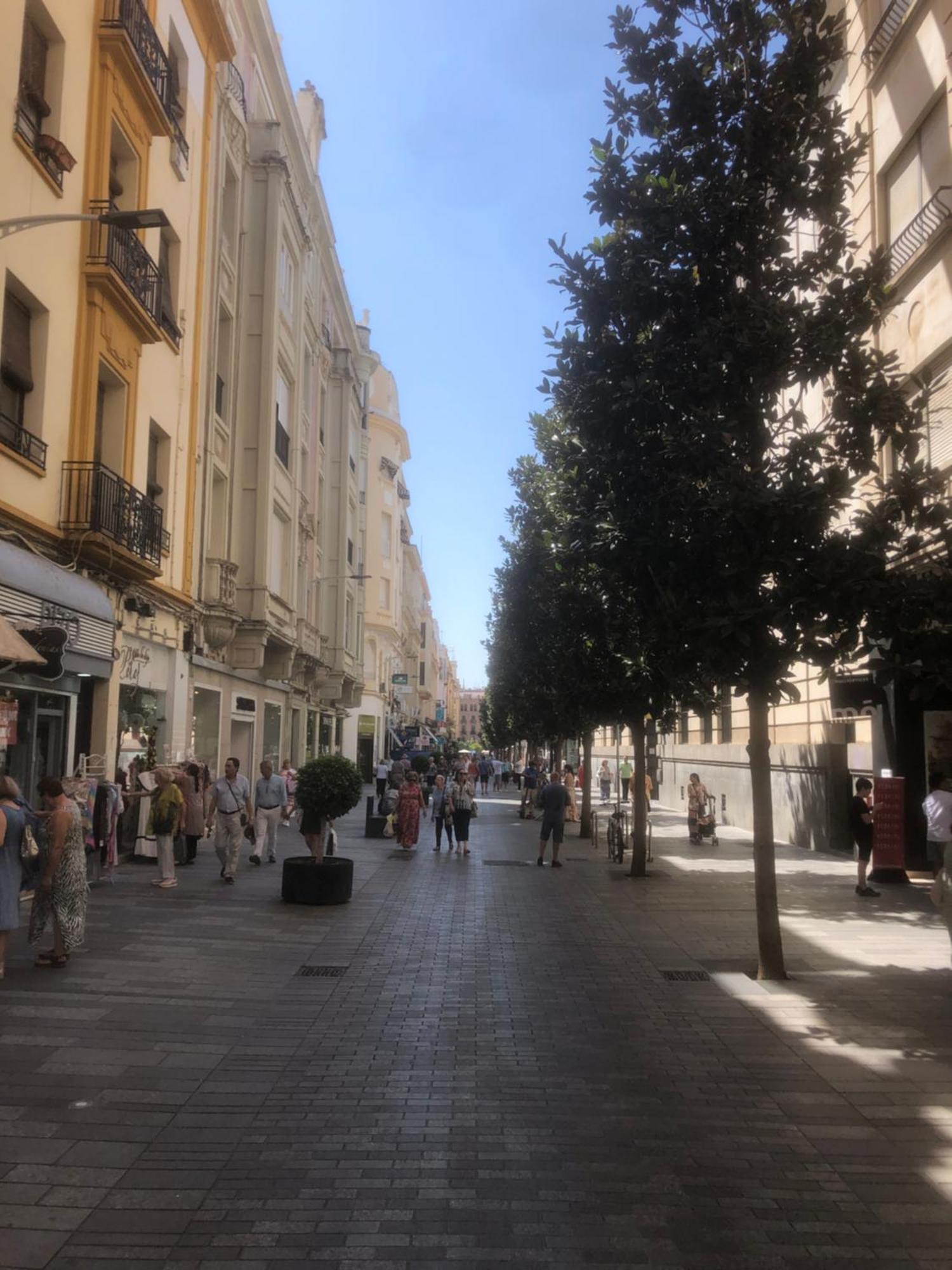 Apartamento En El Centro Totalmente Climatizado, Parking Gratuito Córdoba Eksteriør billede